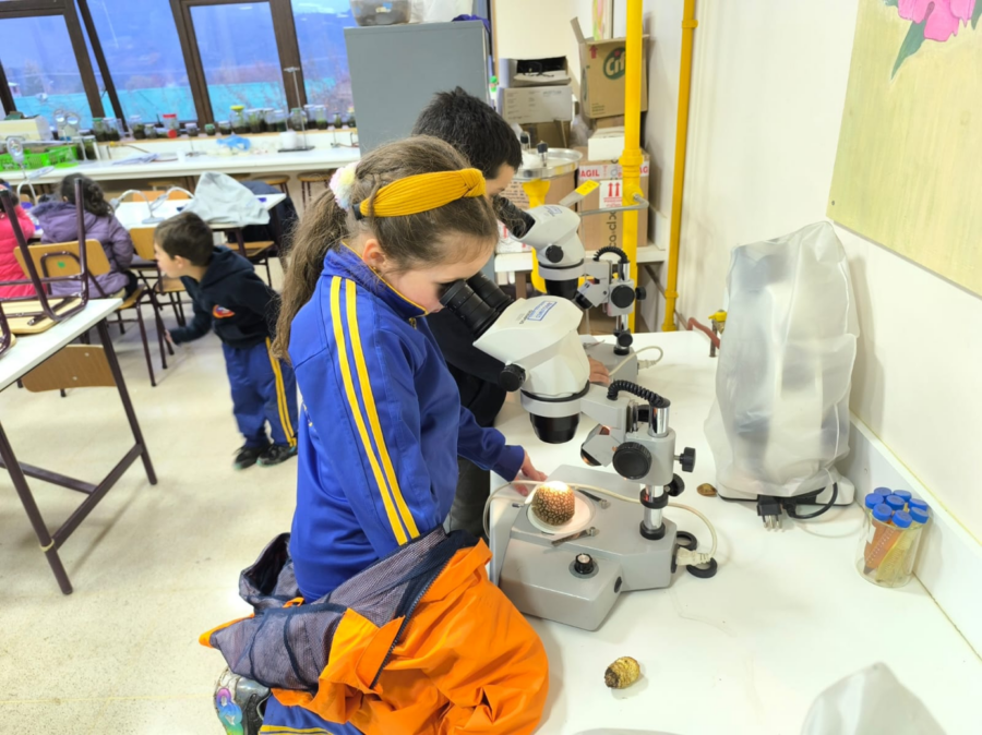 Ilustrando bajo el microscopio, niñeces de  Futaleufú explorando ciencia y arte en comunidad